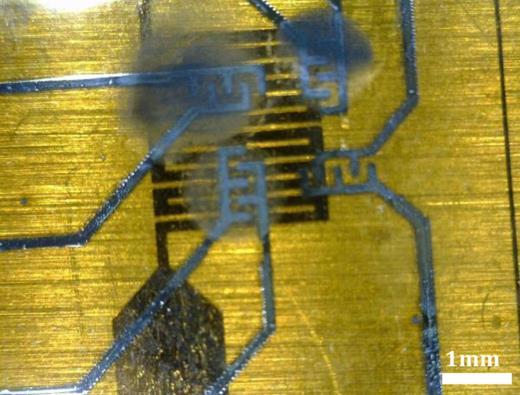 Chemical: Printed Gas Sensors Au and Pd decorated carbon-nanofibres on Kapton.