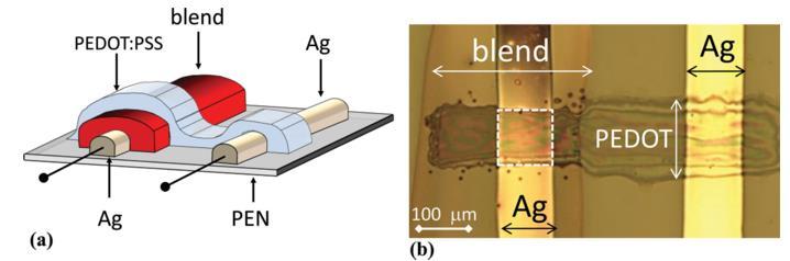 Physical: Printed Photodetectors Photodiodes: Fully