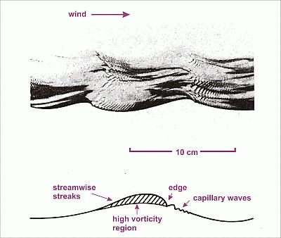 waves from backscatter Oil dampens capillary wave