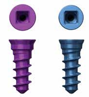 Screw Types The ACP 1 system features both fixed and variable angle bone screws.