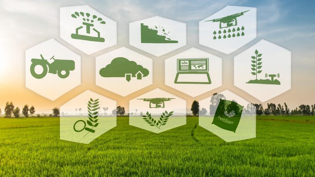 Day 04 Tuesday May 8 Agrivest: Israel s newest, hottest & most promising Agtech startups After breakfast, make your way to the Agritech Conference,