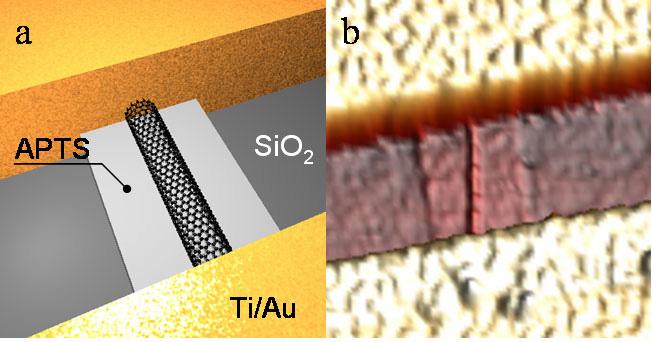 Future Technology Highlights: Carbon Nanotubes (CNTs) 10-5 S V DS = -0.1,-0.2,-0.3 V L ~ 50 nm -I DS (A) 10-6 10-7 D 10-8 SWNT -IDS (A) 10-6 10-8 L~30 nm V DS =-0.
