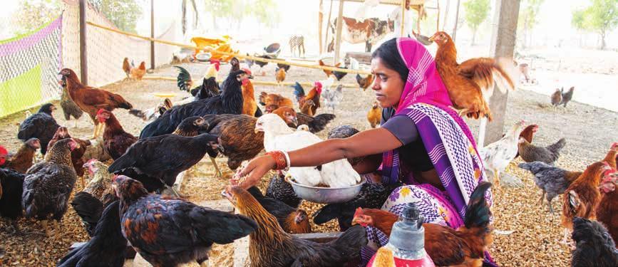 Poultry farm supported by LHWRF MUCH OF WHAT HAPPENS IN OUR WORLD IS THE RESULT OF HOW WE THINK, FEEL AND ACT ABOUT OTHERS AND ABOUT