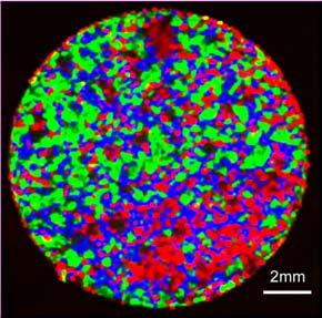 High speed Raman image acquisition Lower laser power densities for sensitive samples Full spectral information available for data processing Optical image and Raman image of polymer beads taken using