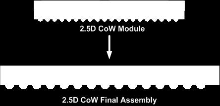 5D CoW CoW Module