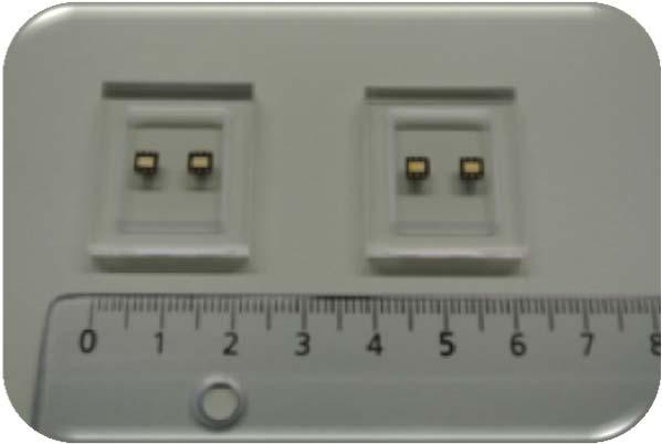 CONNECTIVITY AND HOUSING FUNCTION Processing Contact Layer (Au) on Glass and Tungsten Vias as pads and as circuit