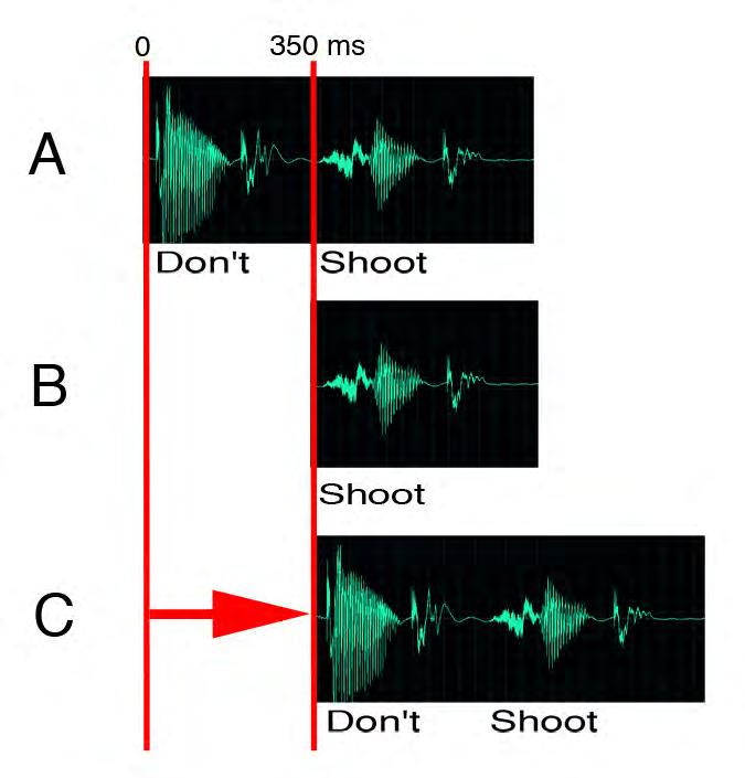 Figure 4-1 Shoot Versus Don t Shoot A: The audio being sent into the Interoperability System by radio #1. Radio #1 is crossconnected to radio #2.