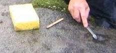 sheep droppings, dead leaves) Remember use a soft brush Trim away overhanging stems,