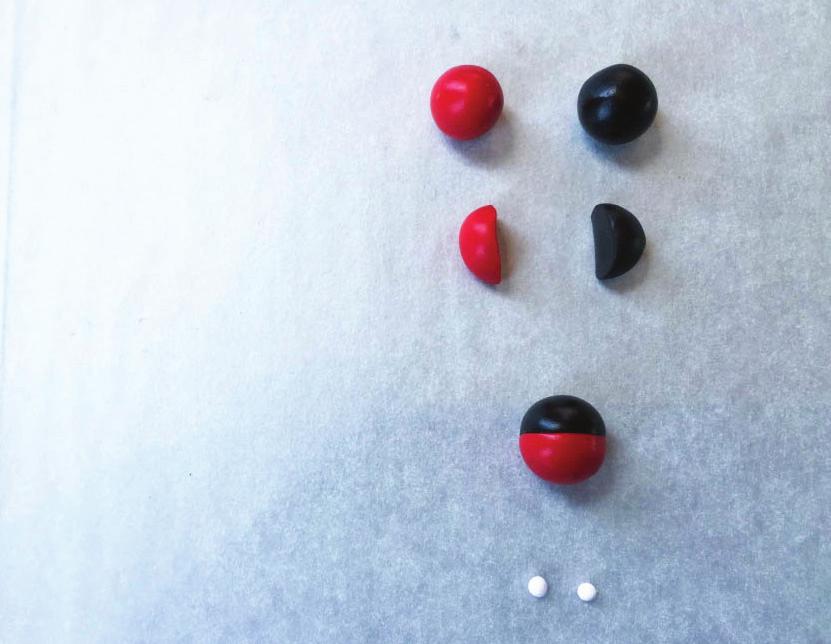 TWO COLOR MICKEY BEAD Take two dime size pieces of red and black clay and roll them into two separate balls and then cut them in half.