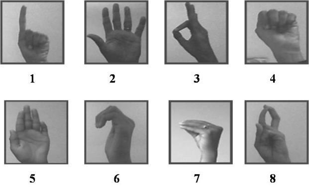 Comparative Performance Analysis of Hand Gesture Recognition Techniques Figure 3 Set of gestures used for training For training 8 images of each gesture are added into the database.