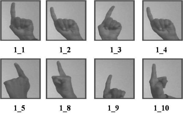 The gesture 1 captured at different orientation is shown in Figure 4. A plane background is preferred for efficient recognition.