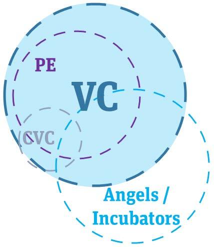 VCs co-invest mostly with PE funds & Angels Investor Types # Deals $ Invested Venture Capital funds have completed 523 deals this year, by far the highest amount of transactions compared to other