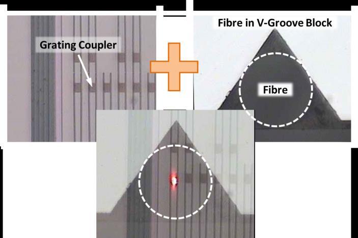 Tyndall has recently developed a method of passively aligning fiber-arrays to grating-coupler arrays, using a flip-chip technique.