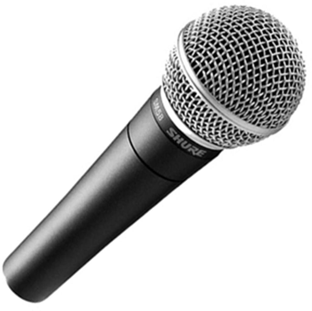 You need to make sure you get a mic that is intended for vocals and that has the right type of connector for your DJ setup.