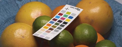 Hint: QPcards are inexpensive. Replace your card often for best color correction results.