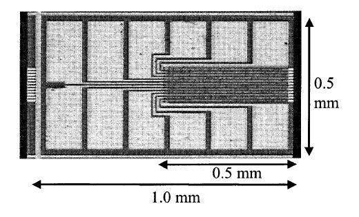 Figure 6-9 Fully processed laser chip.
