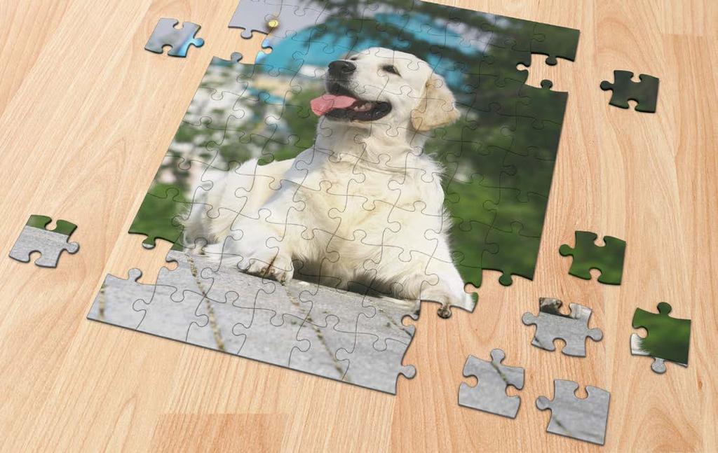Photo Puzzle High Gloss Finish Measures 8 x 10 - contains 48 Pieces Ships fully