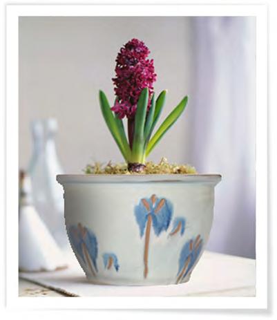 Our classic Malaysian Cloche pot shape is