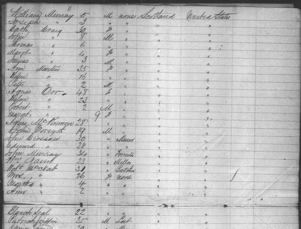 What s in Ancestry Library Edition? U.S. Immigration Collection. More than 100 million names from passenger lists for 1820-1960.