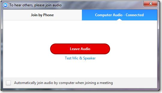 You will want to join the audio by Computer. This will most likely be selected by default, but if it is not, then click here. Then click the green Join Audio button.
