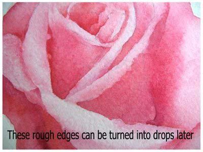 As you continue to paint the petals and become more confident in defining the petal shapes and petal edges start looking for rough edges that could become drops.