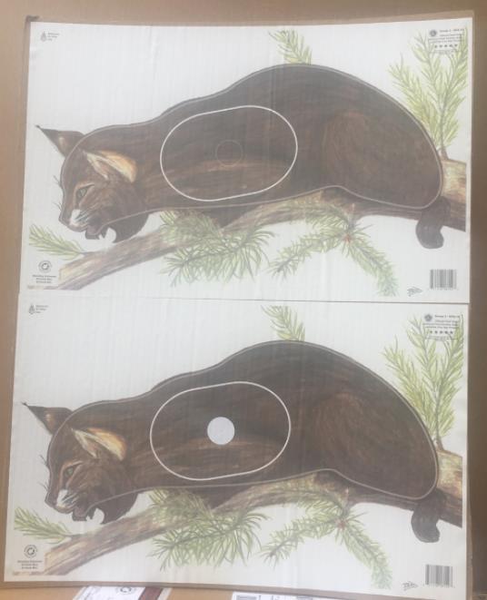 Two separate pieces of the same animal target paper