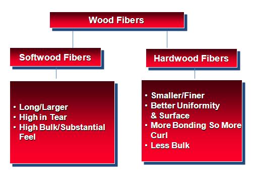 Calkins, Melanie page 3 Fig. 2. Neenah Paper, Inc. Fig. 3. Neenah Paper, Inc. Non-cellulose fibers are utilized in papermaking processes when additional strength or dimensional stability is required in the end-use application.