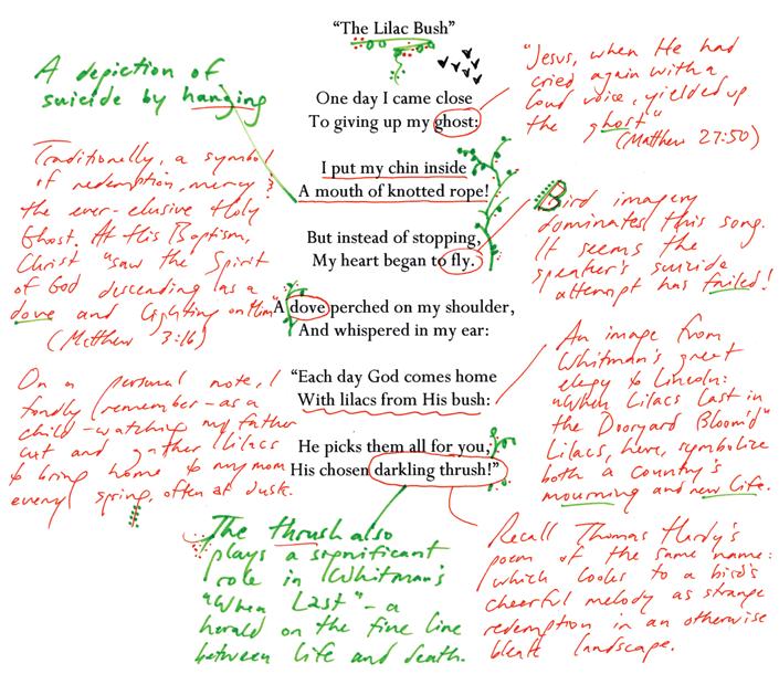 alumnicorner The Lilac Bush, annotated PJ Sauerteig 15 analyzes the literary references in a song from his latest album, The Ascension of Slow Dakota Performing under the name Slow Dakota, PJ