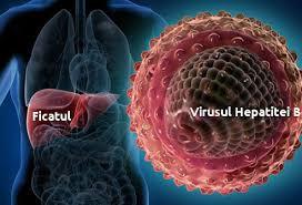 [5] Virusurile hepatitice B și C și unele tipuri de HPV cresc riscul de cancer