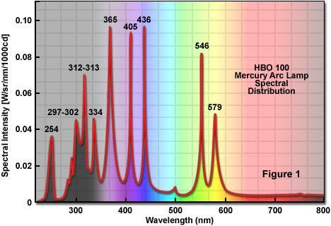 Appendix Collection of Hg and CFL spectral examples from the Internet In this spectrum