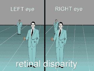 Depth Perception Binocular Cues Interaction of both eyes (helps us perceive depth) Two kinds Retinal disparity The degree of