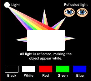 The Visual System Process Eyes: Sense light reflected from