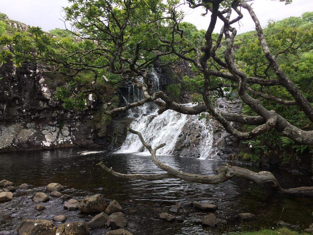 It was now lunchtime and so we headed round to Eas Fors waterfall just a short distance along the coast, overlooking Ulva.