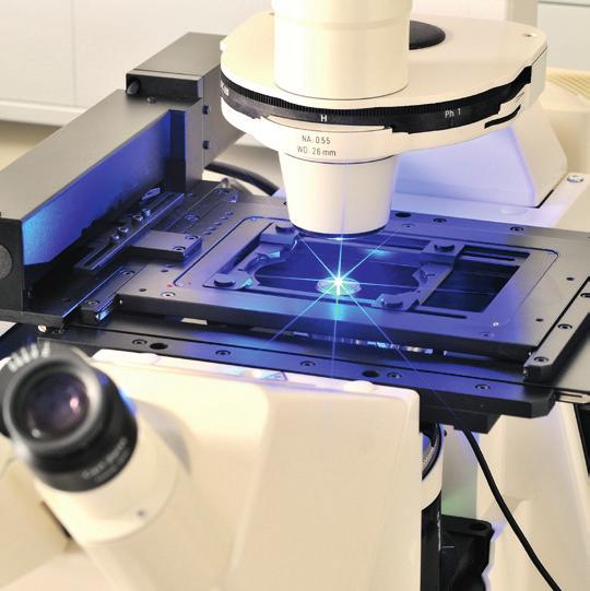 Euro-BioImaging I 5 Euro-BioImaging Services Euro-BioImaging will provide very valuable services to European researchers and