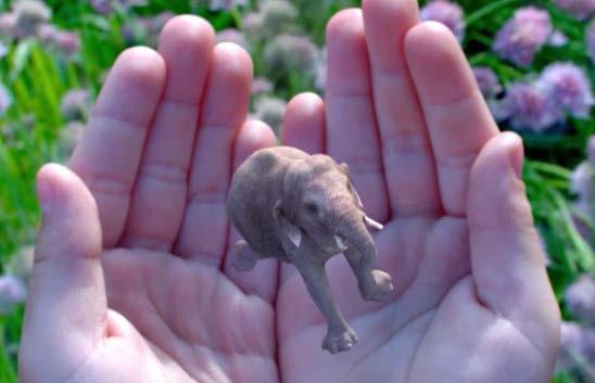 AR and VR With companies such as Magic Leap receiving $2.3 Billion in investment, AR will emerge as a significant tech.