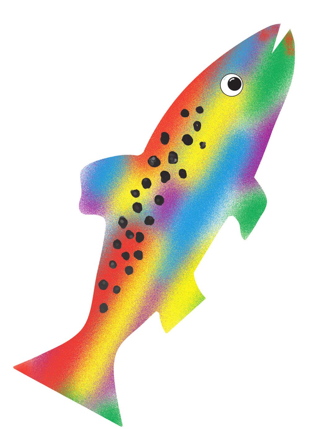 Rainbow Trout From red to purple and green to yellow, this rainbow trout is a colorful fellow!