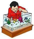 Question 11: Gopi buys a fish from a shop for his aquarium. The shopkeeper takes out one fish at random from a tank containing 5 male fish and 8 female fish (see the given figure).
