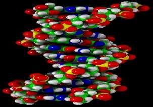 DNA as Universal Programming