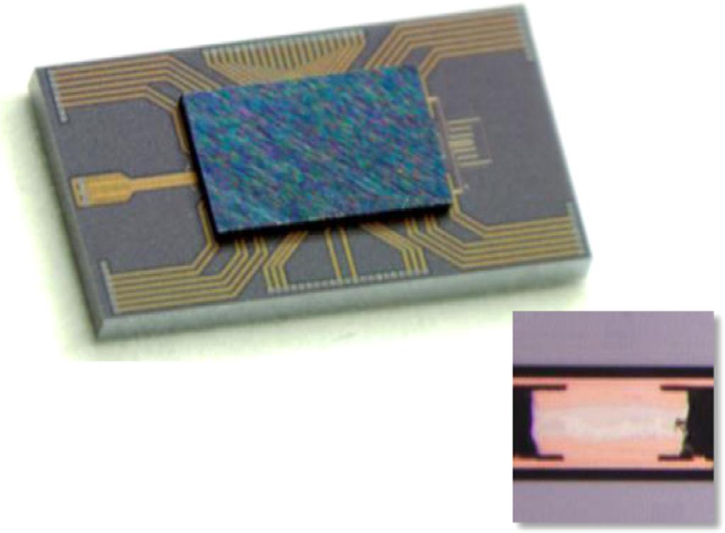 Planar fiber array packaged to a silicon photonic device using grating couplers. The inset shows the grating coupler array with two outer shunt waveguides to assist with the alignment process.