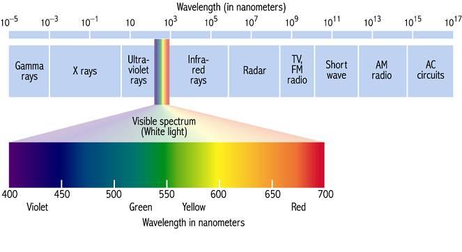 Vision Eye detects light (electromagnetic radiation) Two properties: 1. Wavelength Color 2.