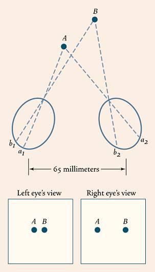 Depth Perception: Binocular Cues