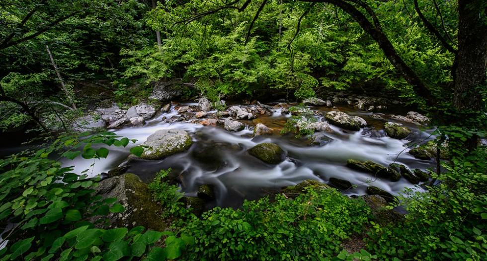 JULY 6, 2018 INTERMEDIATE Creating A Long Exposure Look Without The Wait or ND Filter Featuring NIKON AMBASSADOR MOOSE PETERSON Water has a life, rhythm and romance which, when trying to capture it