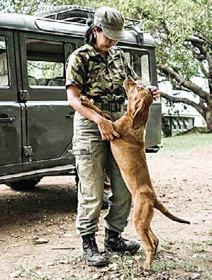 Shakaria is top of her class of five puppies being trained by American experts to join a tracker dog unit, which has become pivotal in the fight against poaching in the Mara Triangle, part of the