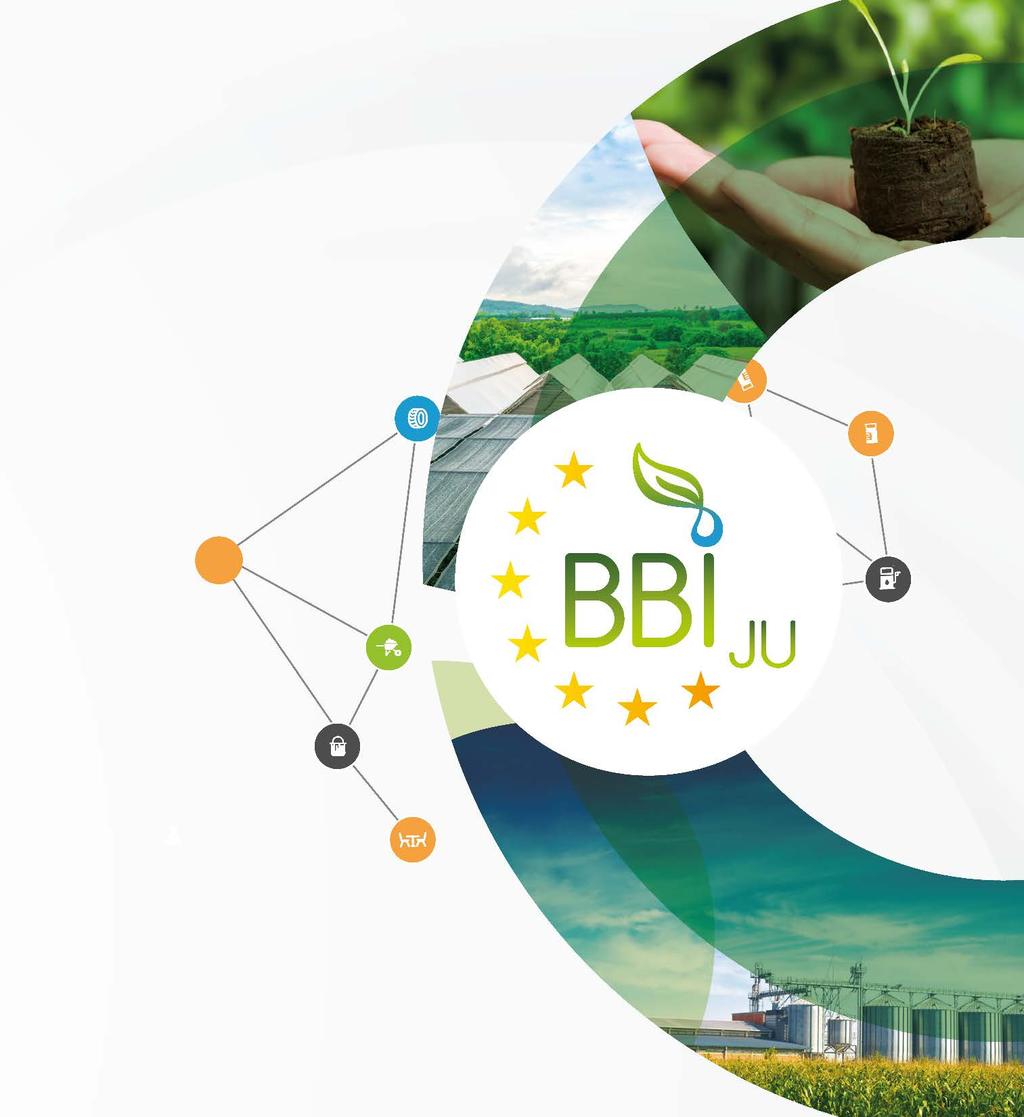 of Programme Bio-based Industries Joint