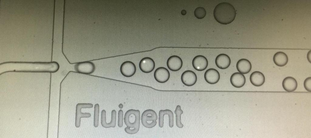 Fluigent
