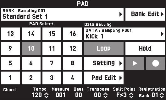 Using Pads To assign chord progressions that match the selected Auto Accompaniment 1. Press the ck CHORD button.