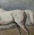 thee Horse' in 1766. ARA 1780, see item ref: 5777.