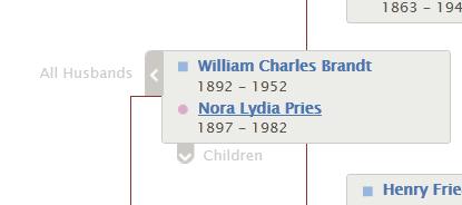 Navigating the FamilySearch Family Tree If you are on the ancestor page, this link appears beneath the individual s name, near the top of the page.