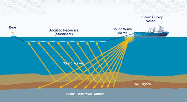 The RIGHT solution for Seismic data