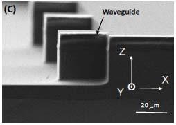 Figure 1 (c) shows the SEM image of the tilted view of dielectric stacks with embedded single-mode waveguides on the substrate side.